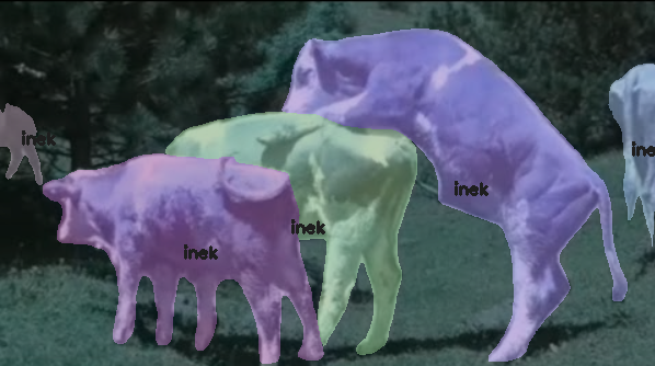 yapay zeka inek kızgınlık takibi