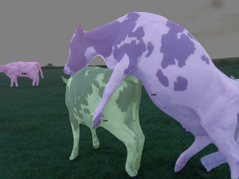 yapay zeka inek kızgınlık takibi