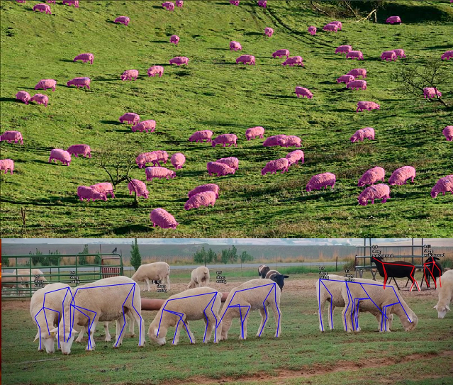 yapay zeka küçükbaş